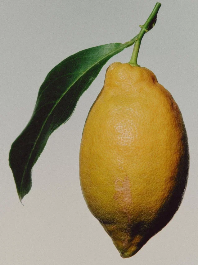 (100 ml) Blue Incense Eau de Parfum (100 ml) Blue Incense Eau de Parfum