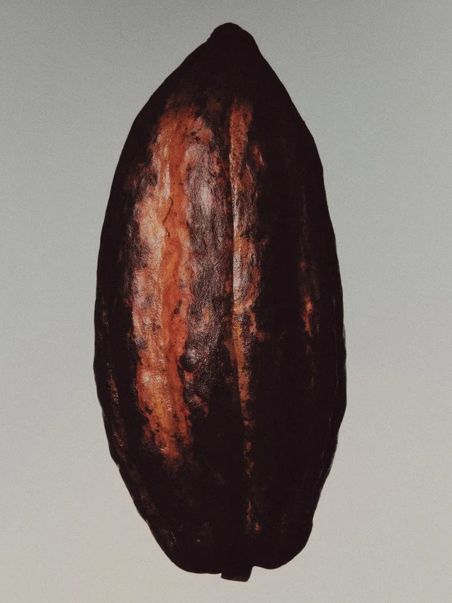 (100 ml) Bronze Lavender Eau de Parfum (100 ml) Bronze Lavender Eau de Parfum