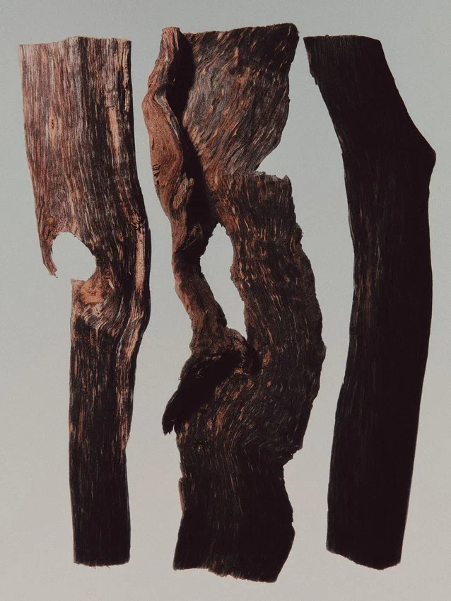 (100 ml) Leather Statement Eau de Parfum (100 ml) Leather Statement Eau de Parfum