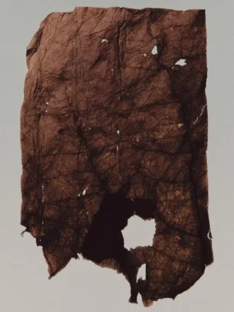 (100 ml) Kashbah Elixir Eau de Parfum