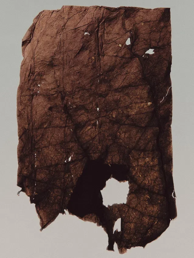 (100 ml) Kashbah Elixir Eau de Parfum (100 ml) Kashbah Elixir Eau de Parfum