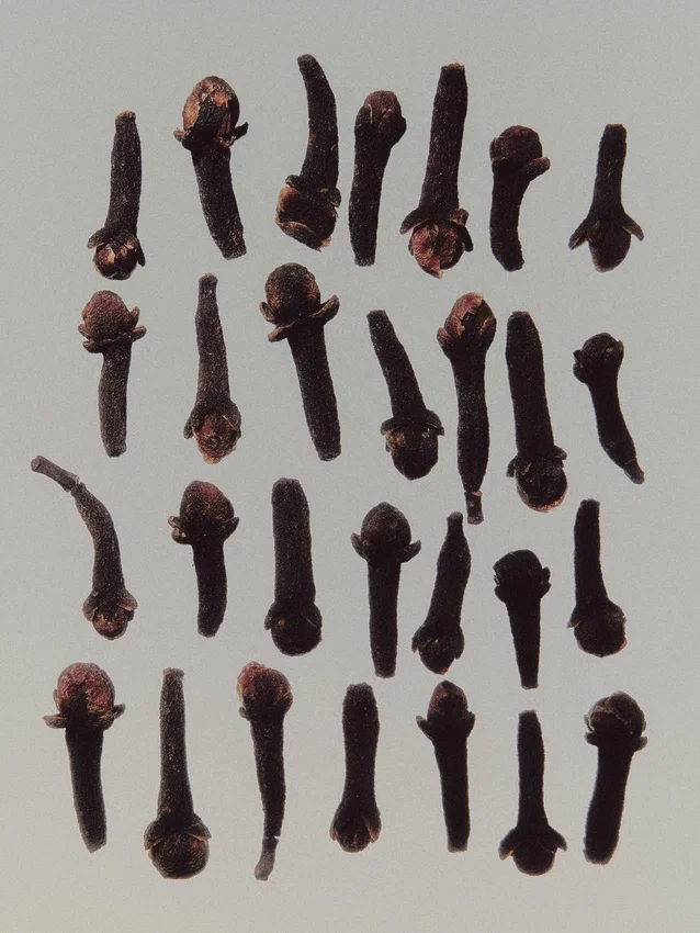 (100 ml) Dusty Mornings Eau de Parfum (100 ml) Dusty Mornings Eau de Parfum