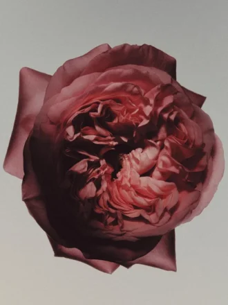 (100 ml) Satin Signature Eau de Parfum