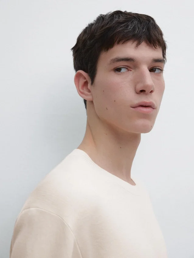 Baumwollstrickpullover mit Rundhalsausschnitt Baumwollstrickpullover mit Rundhalsausschnitt