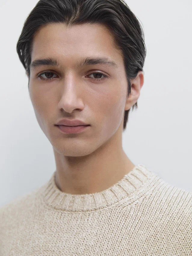 Pullover aus Baumwollmischung mit Rundhalsausschnitt Pullover aus Baumwollmischung mit Rundhalsausschnitt