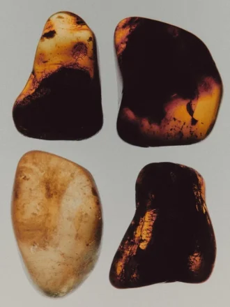 Red Evening Eau de Parfum (100 ml)